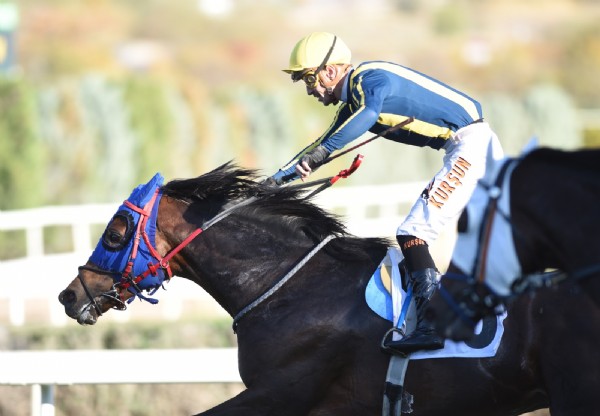 Başkentte Cumhuriyete Yakışan Mücadele! Safkanlardan Muhteşem Sezon Finali